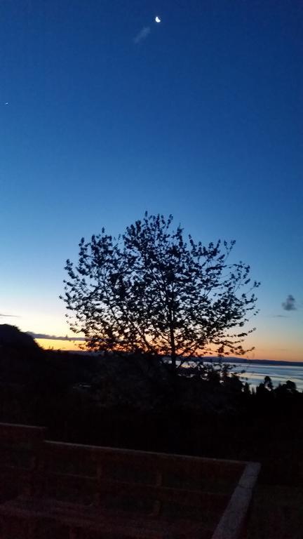 Ranco Village Población Población Lago Ranco Εξωτερικό φωτογραφία